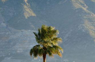 Finca Bellas Vistas - Foto 5