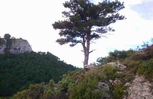 Cal Vientos - Foto 53