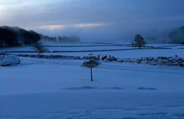 The Vogue Lodge - Photo 3