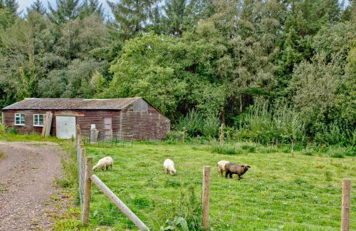 Orchard View - Photo 21