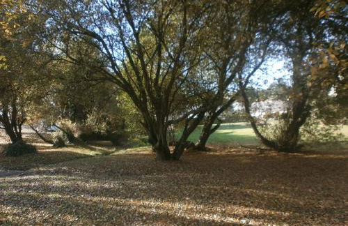 La Pomme de Mer - Foto 57