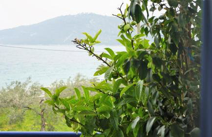 Amalfi Complex - Foto 46