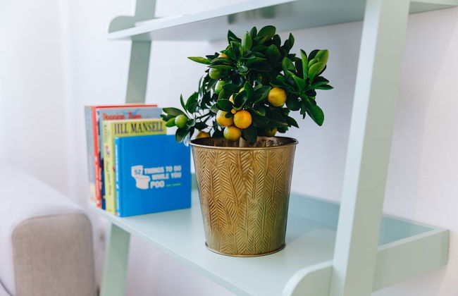 CHILL Apartments - Photo 23