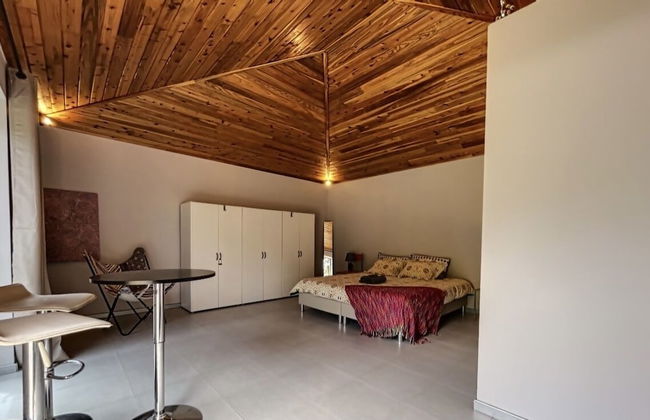 White Rabbit - Photo 4