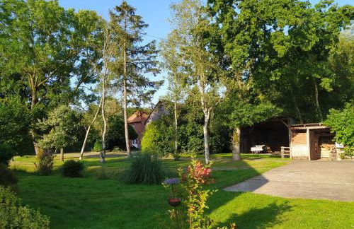 Mooroase Bauerngarten - Ovelgönne - Nordsee - Weser - Jade - Foto 1