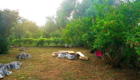 Holiday Home 4542 - Foto 5, Garden, Garden view