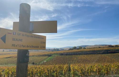 Coeur de Pommard - Foto 37