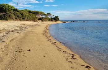 La Casa dei Pesci - Foto 43