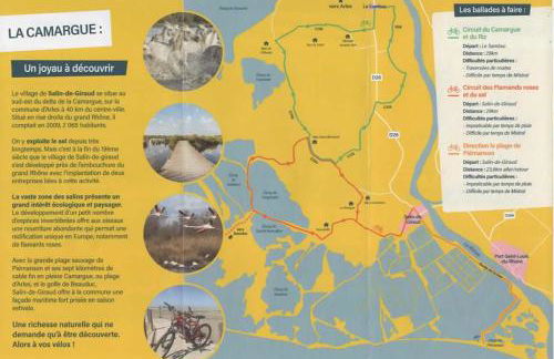 Les Oliviers de Camargue - Foto 26