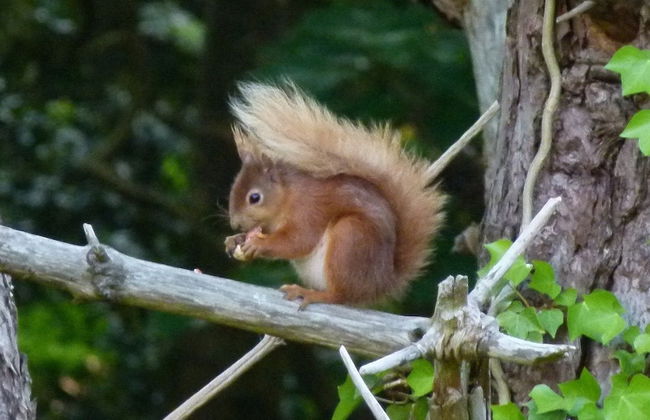 The Old Kitchens - Foto 41