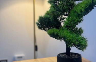 Modern Studio Kidderminster Centre Flat 3 - Foto 9