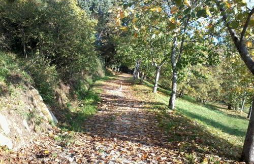 Casa Bartolacci Charme in Bivigliano (Near Mugello and Florence) - Foto 60