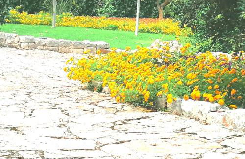 Casa Marisa Villa Vacanza - Foto 57