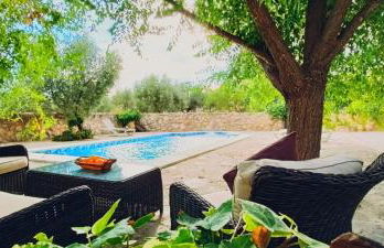 Cortijo Rica - Photo 24