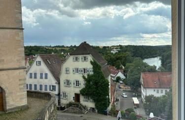 DG Apartment mit Neckarblick - Photo 3