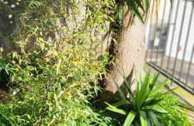 Personal blue house Madeira - Foto 63