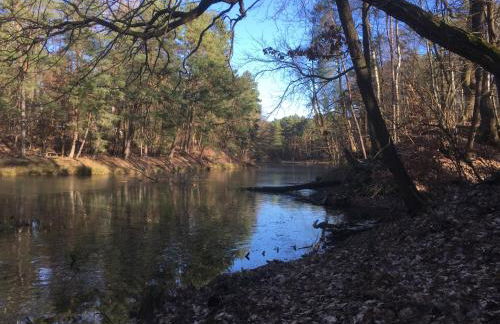 Bungalow Biberspur - Foto 38