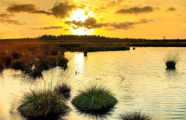 Renovated Farmhouse Quiet Location With Garden, Terrace, Ideal for Walks & Cycling - Photo 37