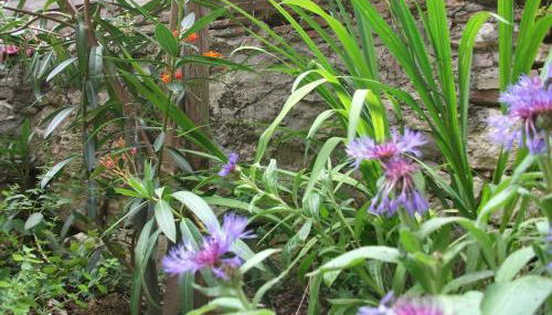 Le Petit Nid, gite studio pour 2 - Foto 5