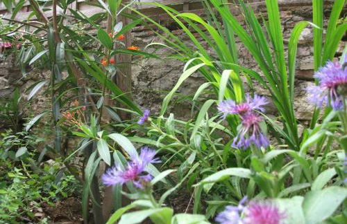 Le Petit Nid, gite studio pour 2 - Foto 5