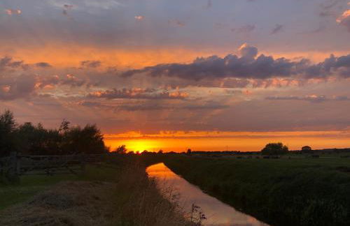 Conkers - a new bespoke rural escape near Glastonbury - Foto 34