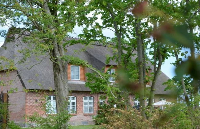 Cathedral day "hygge" - Foto 24