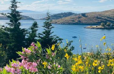 Villa Faros Vourkari Kea with private pool and stunning views - Foto 11