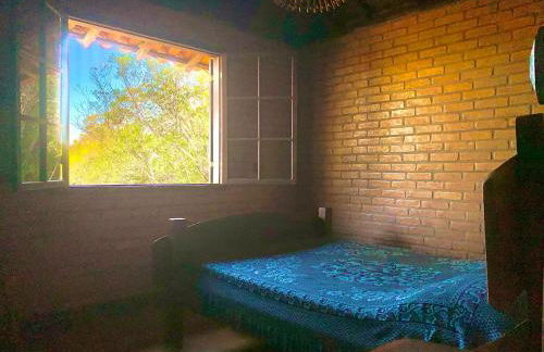 August de Saint Hilaire/ Reserva Alto da Colina - Photo 17