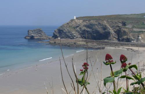 Byghan Thornton - Photo 13