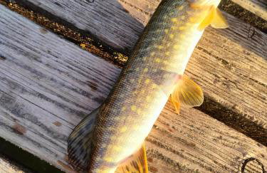 Apartament Baranek Nad Jeziorem - Foto 17