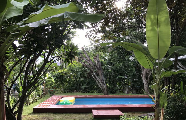 A Taste of Europe in Chiang Mai - Foto 26