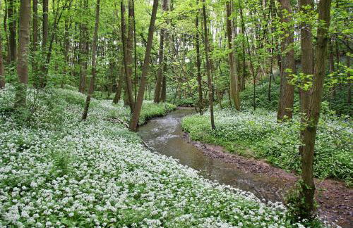 Finest Retreats - Ingleby Manor - Manor Cottage - Photo 4