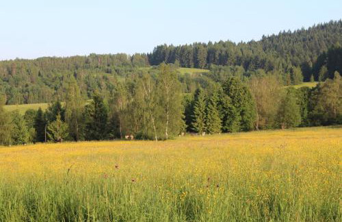 Dom Malowany domki - Foto 41