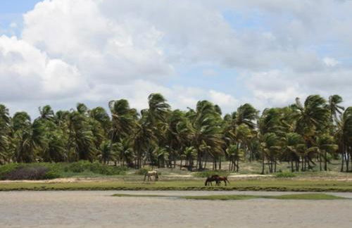 Casa espetacular em condomínio pé-na-areia, PZ11 - Foto 28