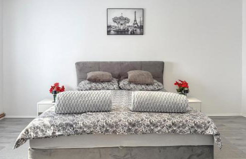 Stunning Home In Salopeki Modruski With Wifi - Photo 22