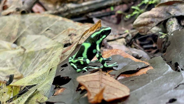 Rainmaker Park Hiking Tour - Foto 4