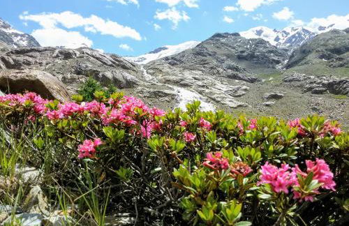 Casa Zebrusius - Zebrusius's App - Foto 33