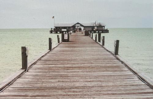 Sunset Connection - Gulf Place - Photo 77