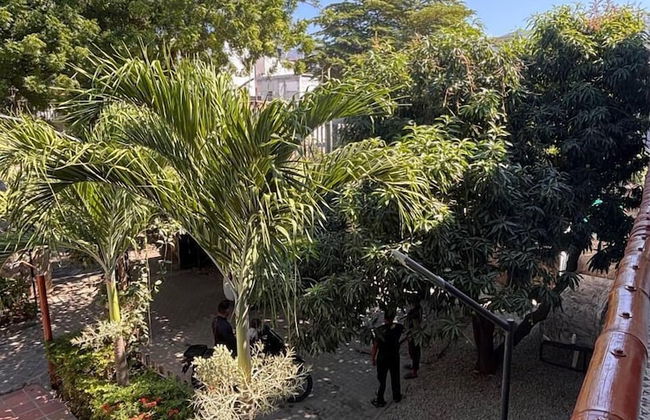 arhuacos hostal - Foto 54