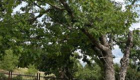 Casa Belvedere Leonessa - Foto 4