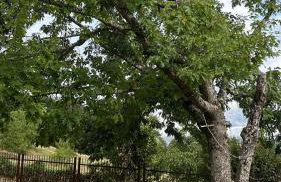 Casa Belvedere Leonessa - Foto 4