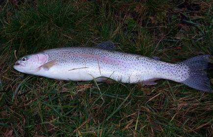 Gacka Valley - Foto 41