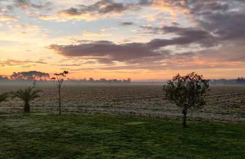 La Grange d'Hardy - Foto 31