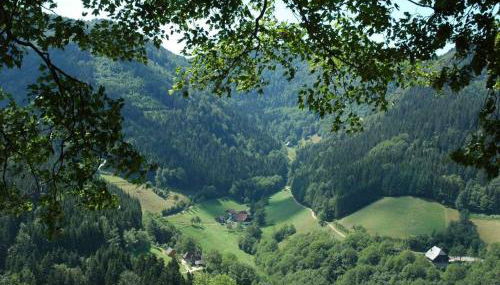 Haldenschwarzhof - Foto 4