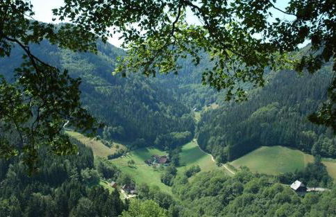 Haldenschwarzhof - Foto 4