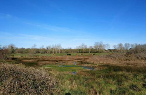 Grand studio, tout équipé et rénové. - Foto 4