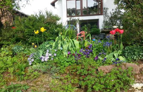 Paradiesgarten am Saaleufer - Foto 37