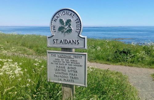 Aidan - 28254 - Foto 7