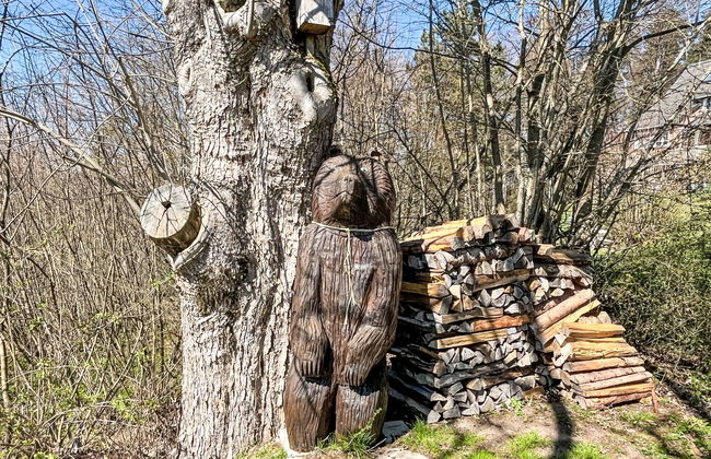 Alpenblick - Foto 24