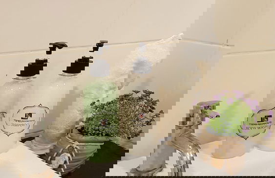 Euzmo Residences at Trefoil - Foto 41